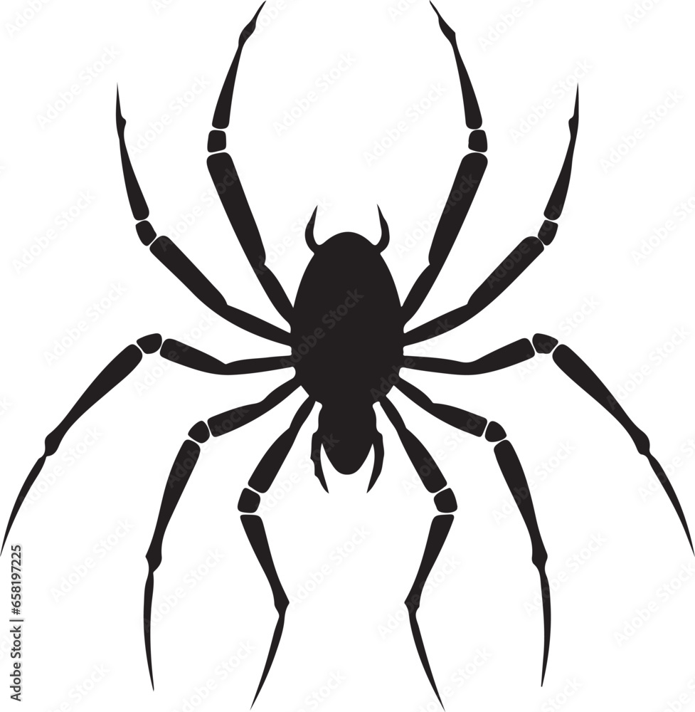 Black spider silhouette scary big spider isolated on white background close-up spider poisonous insect spider vector icon Black spider silhouette scary big spider isolated on white background close-up spider poisonous insect spider vector icon