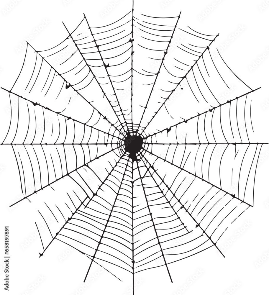 Fototapeta premium Vector illustration of cobweb isolated on white background spider web vector halloween element