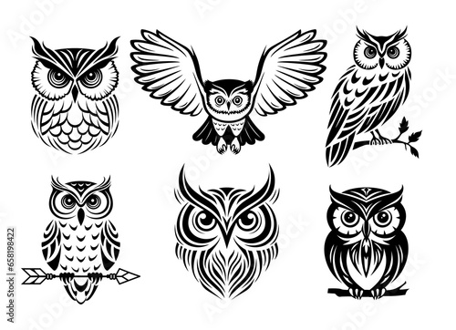 Set of owls silhouettes. Wild bird sign, vector emblem. Stylized black and white graphics.