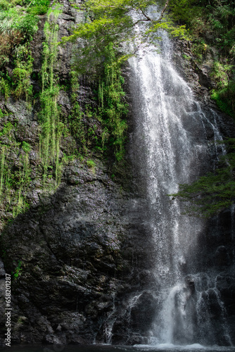 Fototapeta Naklejka Na Ścianę i Meble -  Minoh Falls, Osaka, Japan in summer