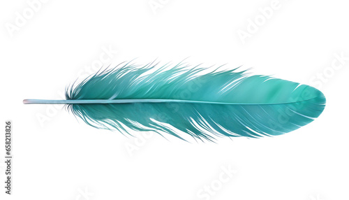 Fototapeta Naklejka Na Ścianę i Meble -  blue feather isolated on transparent background cutout