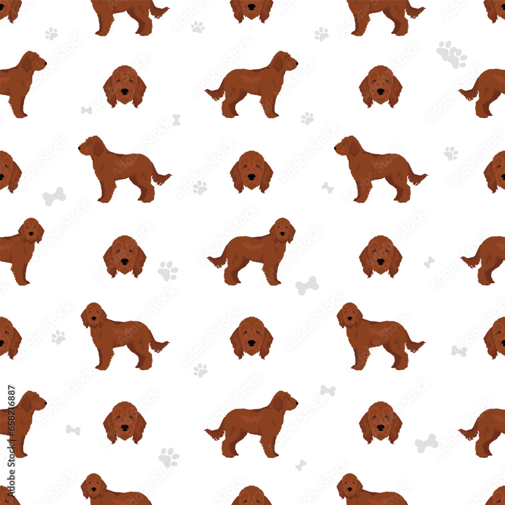 Irishdoodle seamless pattern. Irish Setter Poodle mix. Different coat colors set