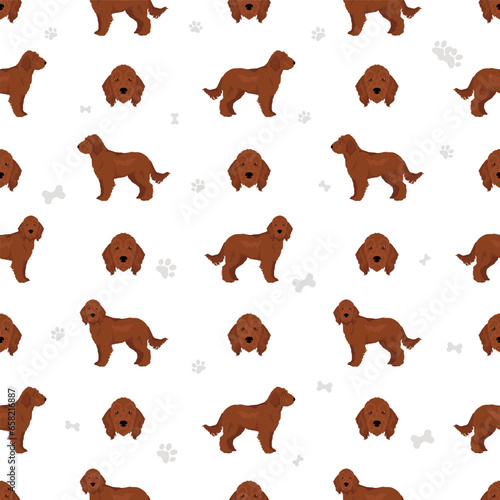 Irishdoodle seamless pattern. Irish Setter Poodle mix. Different coat colors set