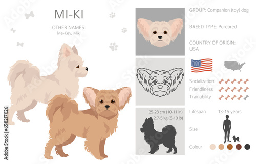 Mi-Ki dog clipart. All coat colors set.  All dog breeds characteristics infographic