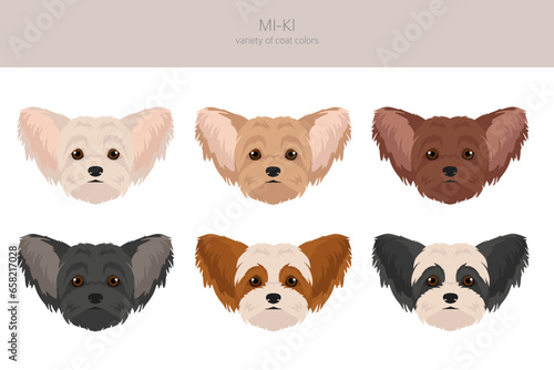Mi-Ki dog clipart. All coat colors set.  All dog breeds characteristics infographic