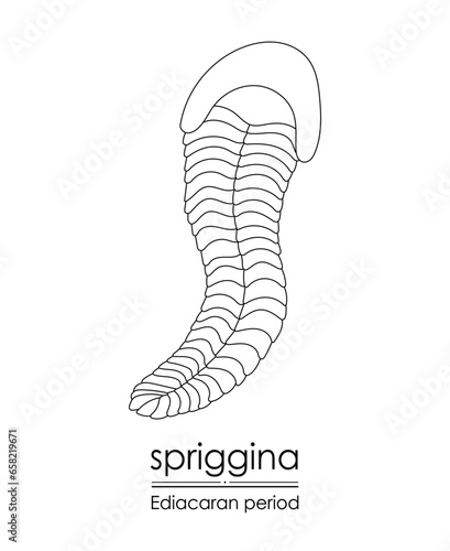 Spriggina, an Ediacaran period creature, black and white line art. Perfect for coloring and educational purposes.