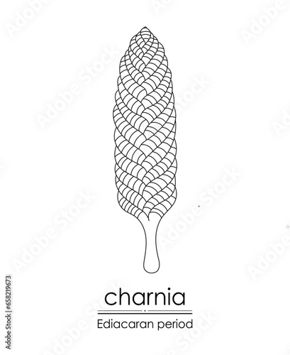 Charnia, an Ediacaran period creature, black and white line art. Perfect for coloring and educational purposes.