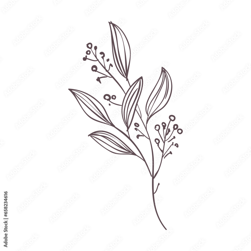 illustration of a flower illustration of a flower