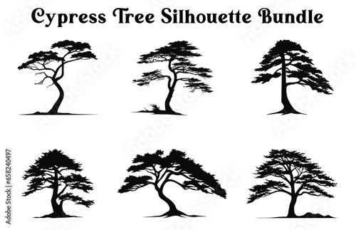 Cypress Tree Silhouettes bundle, Set of trees, Trees Vector silhouette Clipart