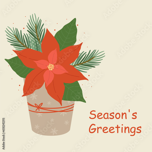 poinsettia flower isolated on white background icon for christmas greeting cards. flowers pot. vector illustration of poinsettia with star flower for your design.