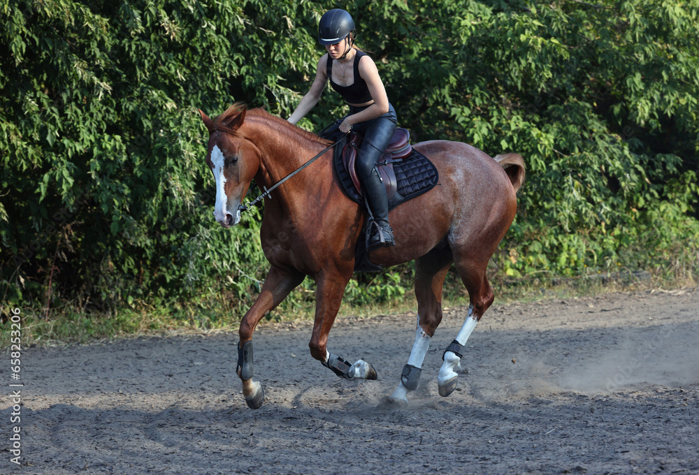 Equestrian model girl riding sportive dressage horse in autumn nature Equestrian model girl riding sportive dressage horse in autumn nature