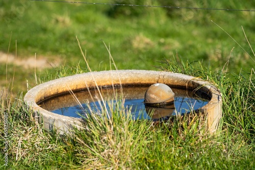 farm livestock water trough in a cow farm in a field