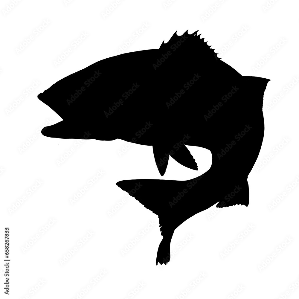 Seabass silhouette. Seabass, sea wolf fish predator. Sea bass