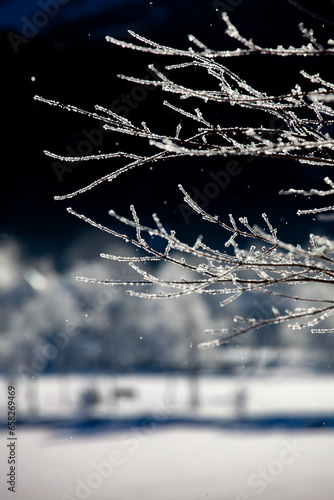 光り輝く霧氷の枝からはらりと落ちる霧氷のの結晶1