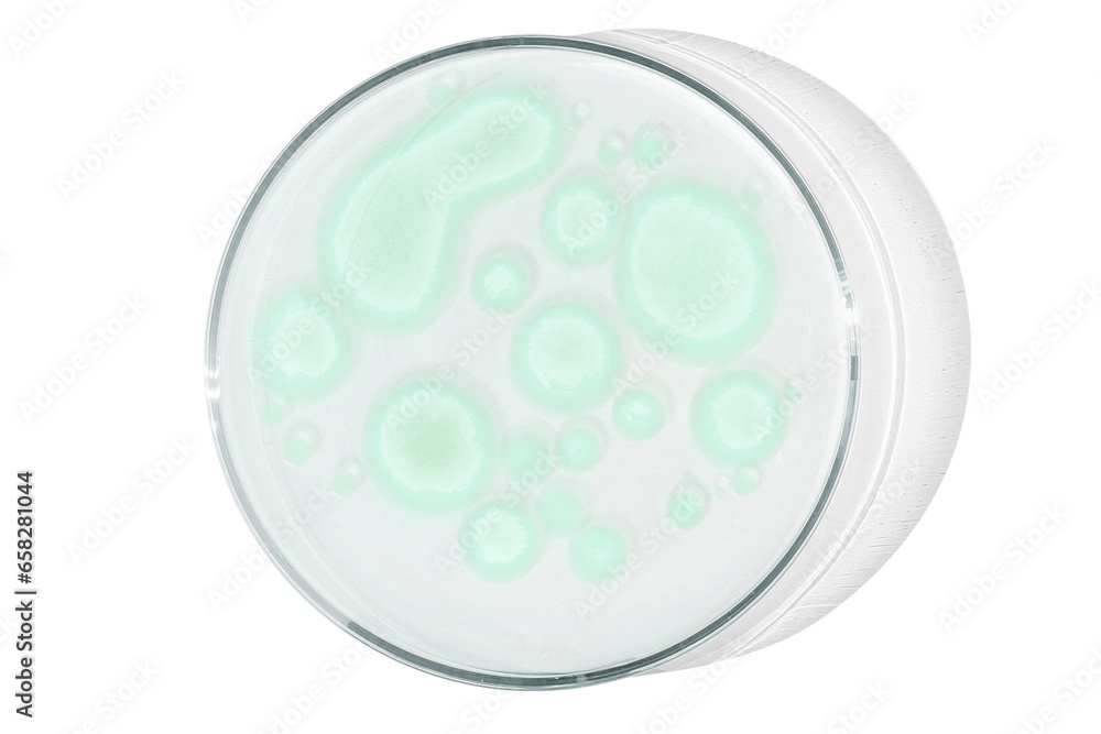 Petri dish isolated on empty background. Green drops, streaks, bacteria and molecules in a Petri dish. Petri dish isolated on empty background. Green drops, streaks, bacteria and molecules in a Petri dish.