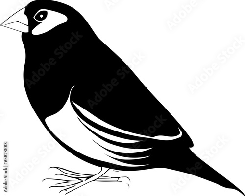 Gouldian Finch icon 2