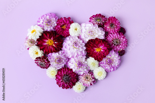 Festive autumn card in the shape of a heart made of dahlia flowers of different shades on a purple background. Romantic background. Flat lay. Nature concept