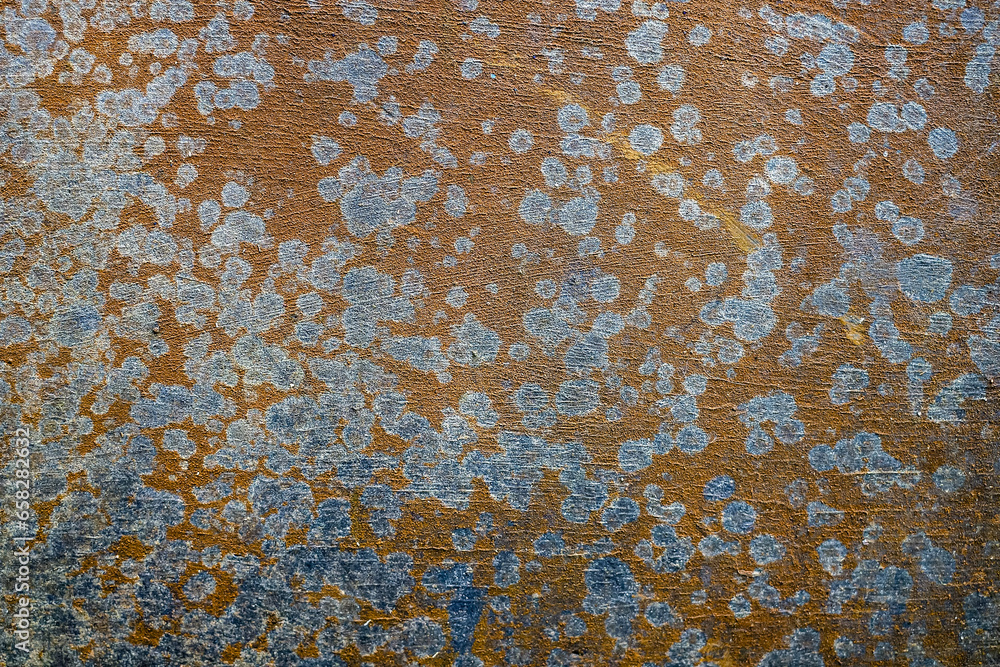 Fototapeta premium the beauty of the cement texture