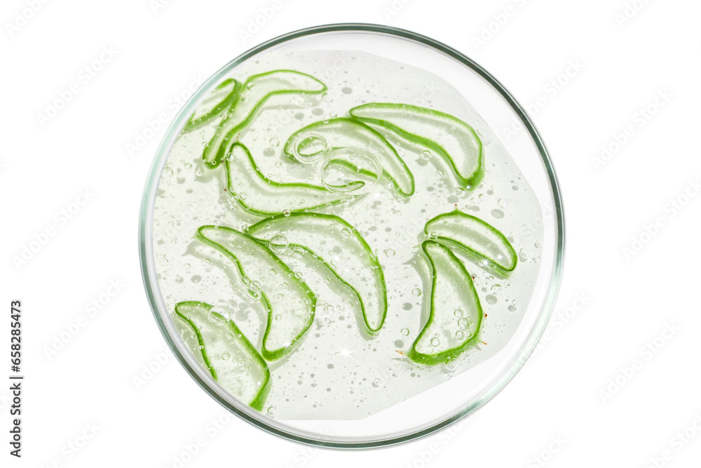 Petri dish isolated on empty background. Slices of aloe vera gel in a Petri dish. Petri dish isolated on empty background. Slices of aloe vera gel in a Petri dish.