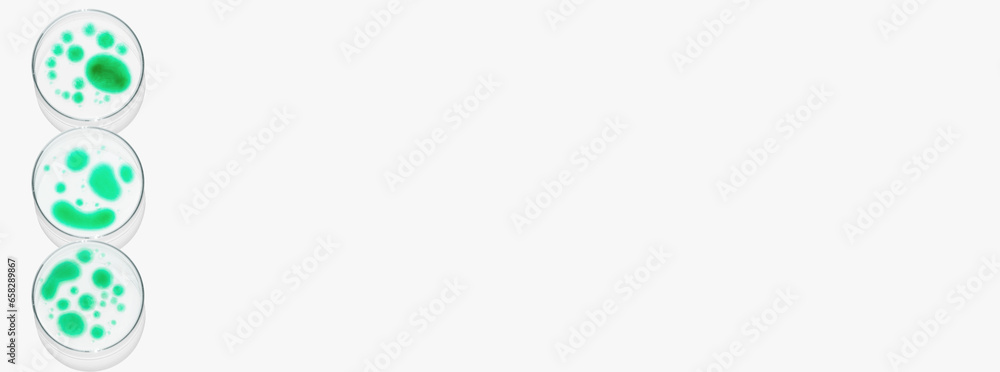 Obraz premium Rectangular banner with Petri dishes isolated. laboratory, research of molecules and bacreria and viruses. Can be pasted on your background