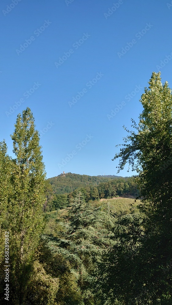 Bilder einer Wanderung entlang an der Südhessischen Bergstraße mit Blick auf Weinberge Bilder einer Wanderung entlang an der Südhessischen Bergstraße mit Blick auf Weinberge
