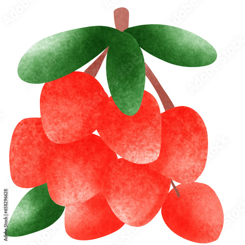 Lychee,fruit