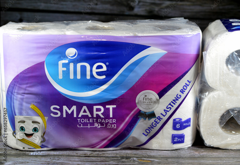 Cairo, Egypt, October 1 2023 Fine smart toilet paper rolls, toilet