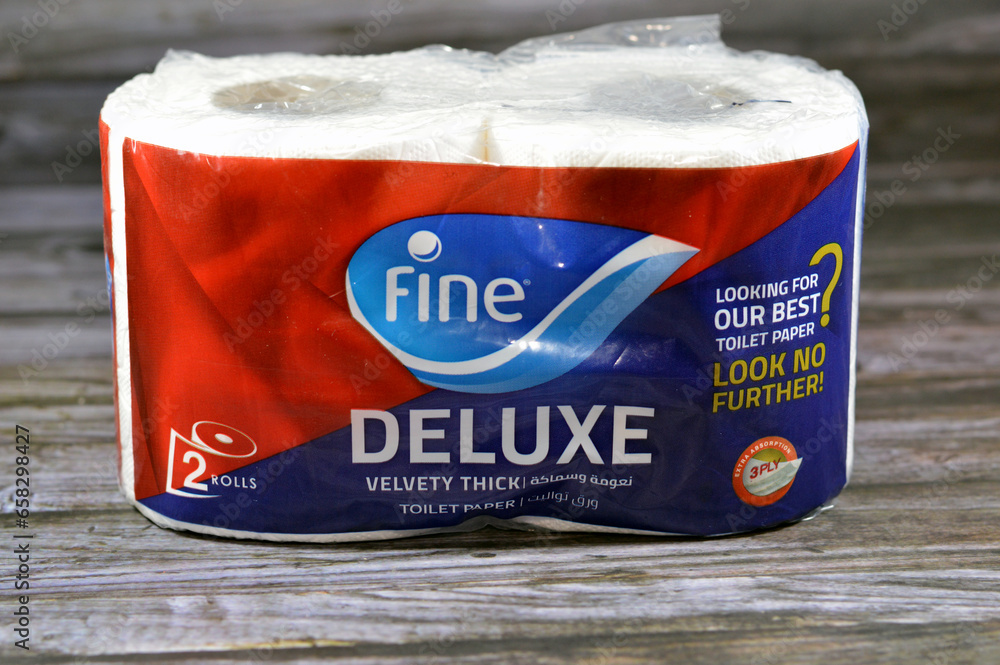 Cairo, Egypt, October 1 2023 Fine smart toilet paper rolls, toilet