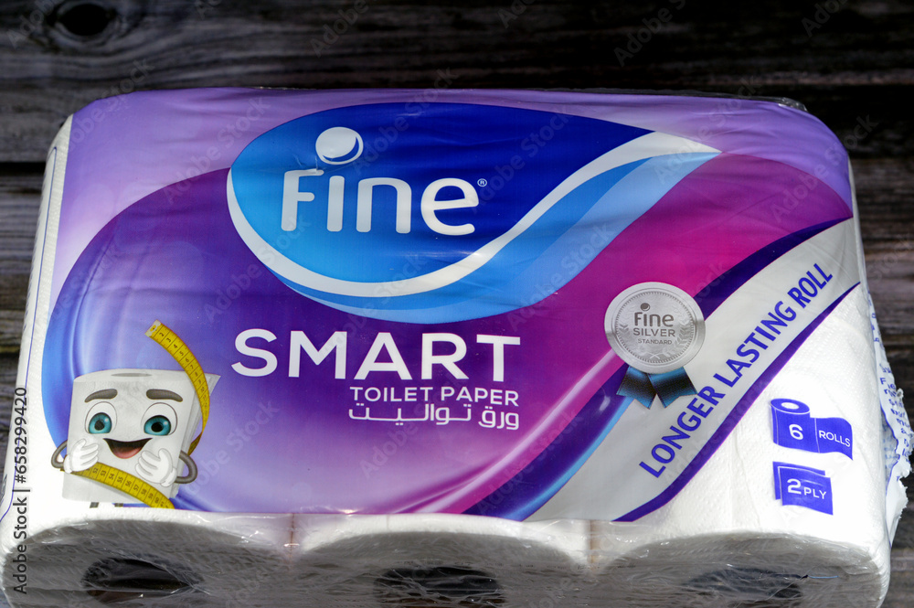 Cairo, Egypt, October 1 2023 Fine smart toilet paper rolls, toilet