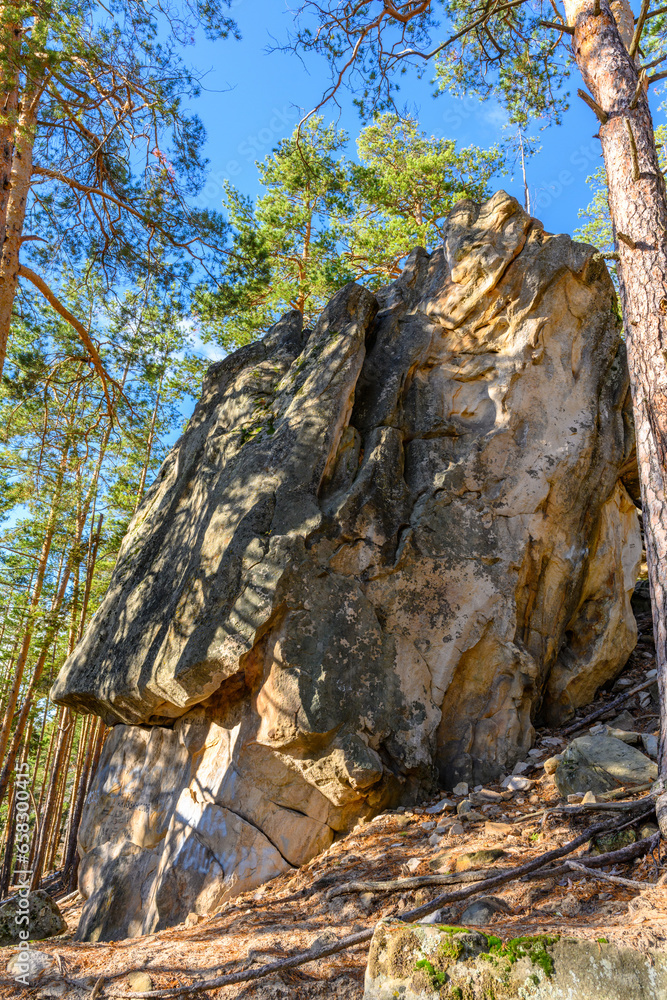 Landscape with rock in forest.
