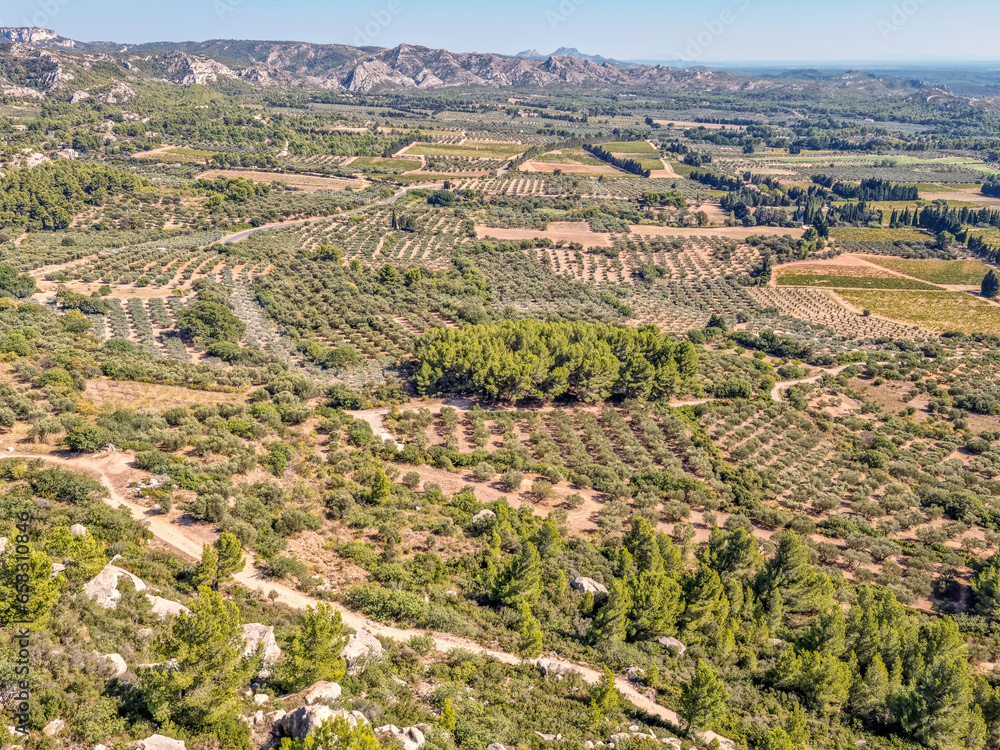 Aerial view of wineries and vineyards in Les Beaux de Provence, South of France