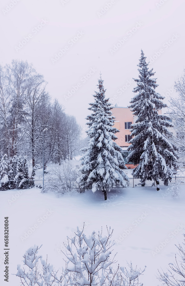 Winter nature background. Morning in the city. Urban view.