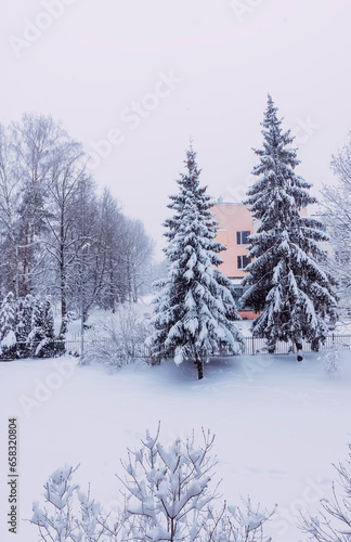 Winter nature background. Morning in the city. Urban view.