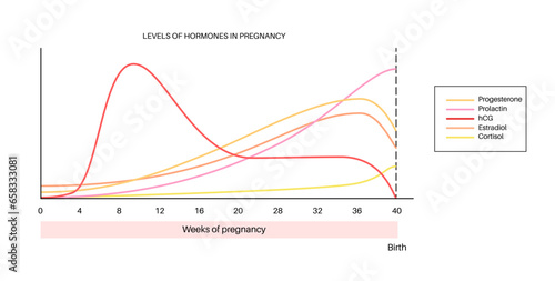 Hormones in pregnancy
