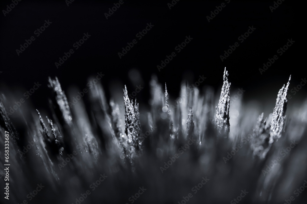 Iron dust spikes. Reaction of iron filings to a magnetic field. Visualisation. Texture, of magnetic particles. Black and white futuristic. - obrazy, fototapety, plakaty 