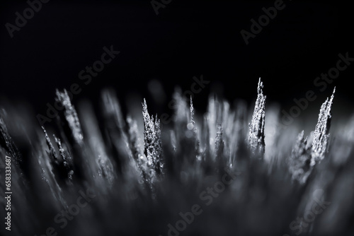 Iron dust spikes. Reaction of iron filings to a magnetic field. Visualisation. Texture, of magnetic particles. Black and white futuristic. photo