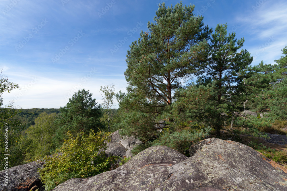 Point of view on the hills of the  Gorges of Apremont. Fontainebleau forest