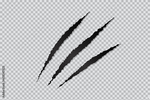 Three cat scratches on transparent background.