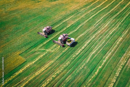 Harvesting by farmers on harvesters in the wheat fields of Belarus. Aerial view
