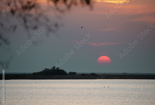 atardecer en los esteros de colonia pellegrini photo