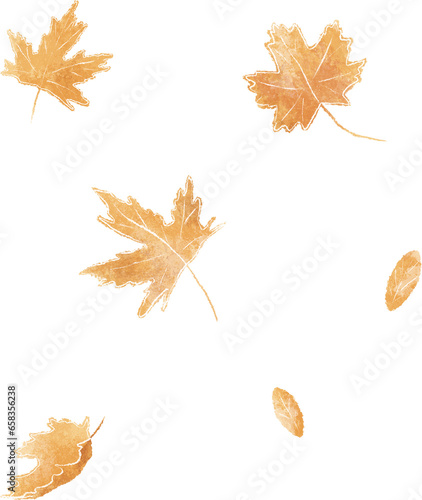 Autumn leaves hand drawn illustration