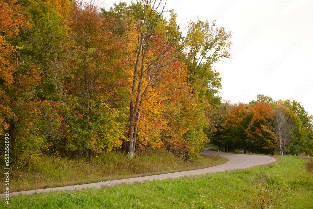 Naklejka premium Road winding through colorful autumn forest. Fall season. Wisconsin, USA. 