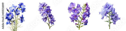 Larkspur  Flower Hyperrealistic Highly Detailed Isolated On Transparent Background PNG File