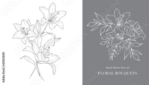 Lily Flower Line Art. Lilies Bouquets Line Art. Fine Line Lilies Arrangements Hand Drawn Illustration. Outline Leaves and Flowers. Botanical Coloring Page. Outline Lily Isolated on White
