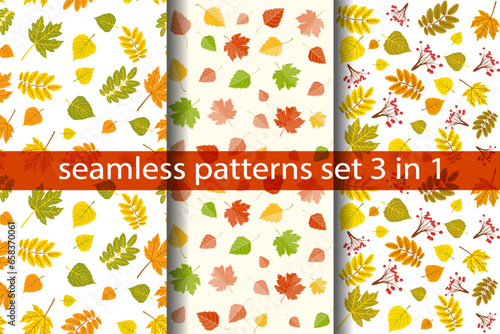 Multicolored autumn leaves seamless patterns, set of autumn maple and birch leaves, and rowanberry on white background