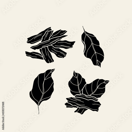 Flat vector agarwood vector collection