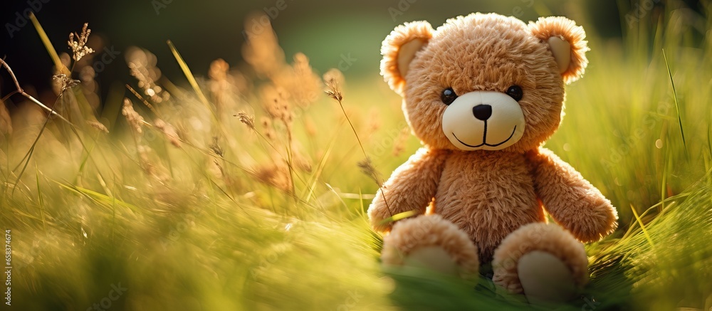 Sunny summer day with eco friendly handmade toy bear on grass Sunny summer day with eco friendly handmade toy bear on grass