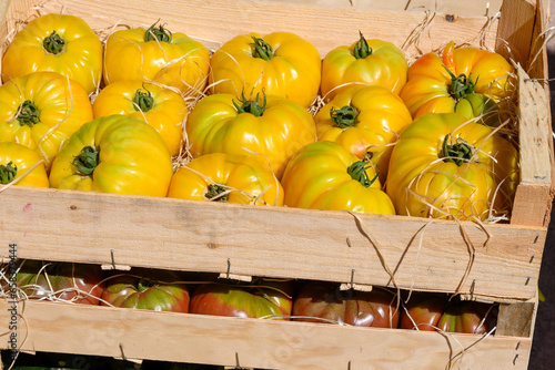 Wooden box with tasty yellow french tomatoes on farmers market in Provence in summer photo