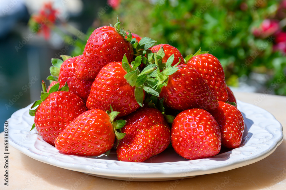 New harvest, plate of ripe red sweet strawberry ready to eat close up New harvest, plate of ripe red sweet strawberry ready to eat close up