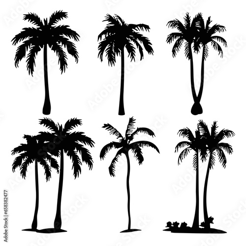 palm trees silhouettes